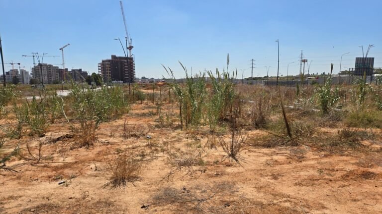 1.5 מיליון ש"ח לקרקע ליחידת דיור ברעננה