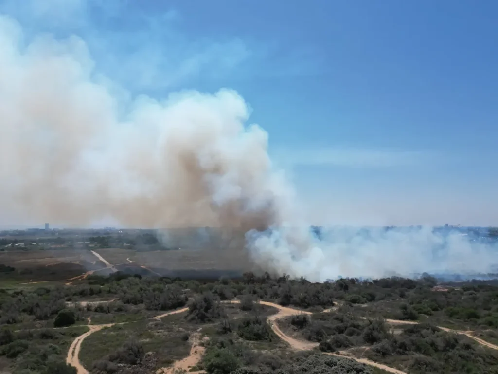 מחדל מתמשך פצצה מתקתקת שריפה בתעש נוף ים צילום טיפאני וינר אילוז