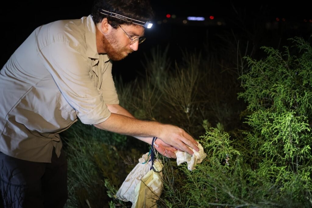 פינוי חיות בר לקראת פיתוח נדל"ן חדש בגליל ים ג' בהרצליה