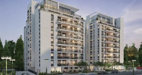 273222682_4738876136229116_6562965150032675295_n