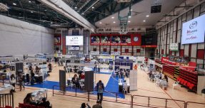 מחירי הדירות