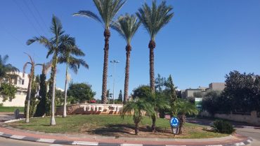 תל מונד מתחדשת: בעלי הדירות אישרו את קידום פרויקט הדקל וההדס