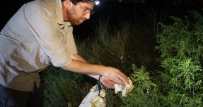 פינוי חיות בר לקראת פיתוח נדל”ן חדש בגליל ים ג’ בהרצליה