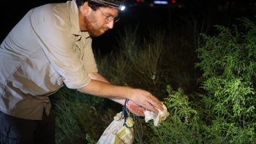 פינוי חיות בר לקראת פיתוח נדל”ן חדש בגליל ים ג’ בהרצליה