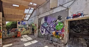 סיפורה של הנערה בלב החורשה: כך הפך מתחם בית הנערה מהפנימייה שננטשה לזירת קרב הנדל"ן הגדולה של הוד השרון