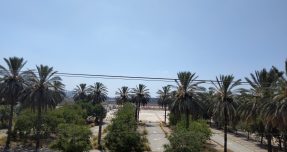 מדרום להוד השרון: תוכנית הענק שתוסיף 2,800 דירות ואלפי דונמים של פארקים צילום: ס. ג'יבלי / Wikimedia Commons, CC BY-SA 4.0