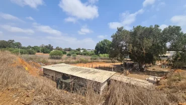 שמונה שנים אחרי האישור: תוכנית הענק בתע״ש השרון חוזרת לשולחן