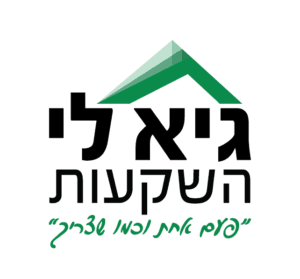 גיא לי השקעות