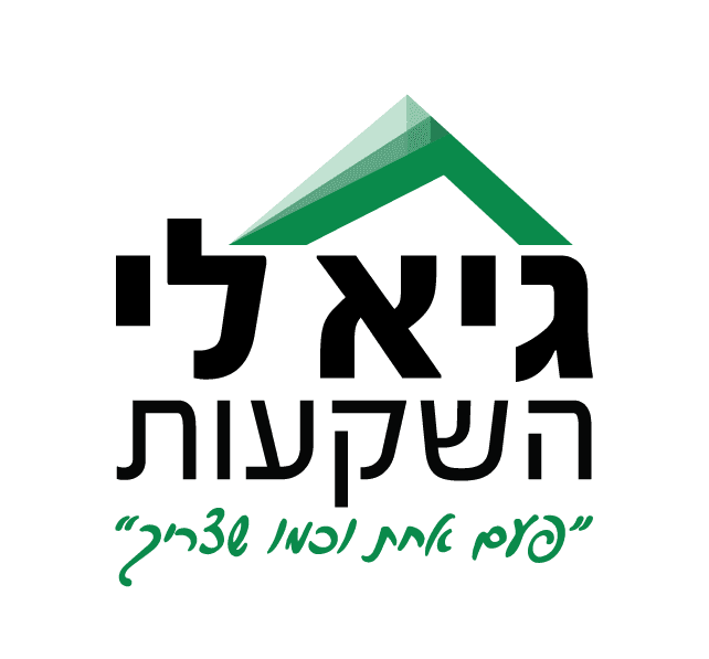 גיא לי השקעות